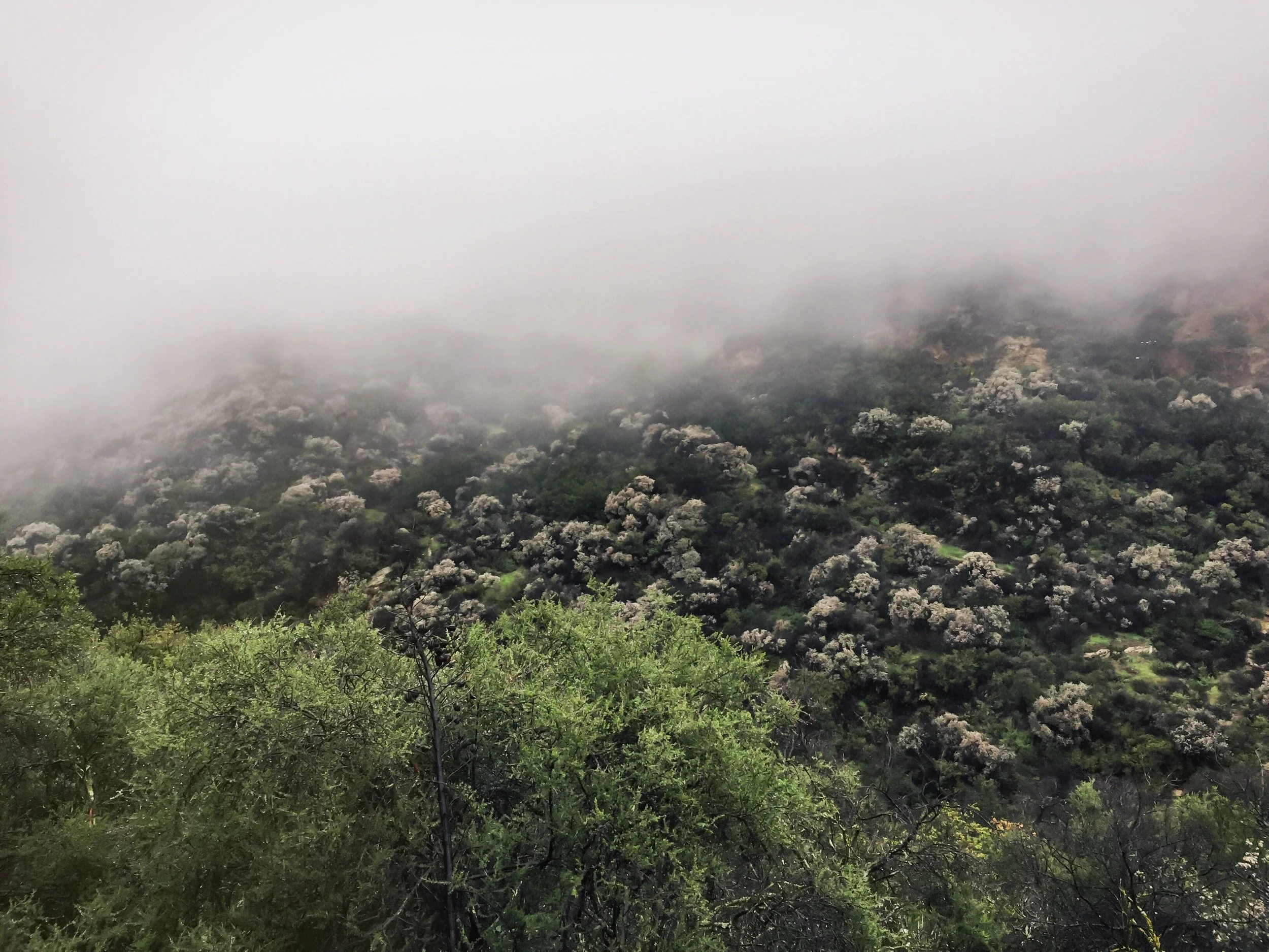 photography: outside