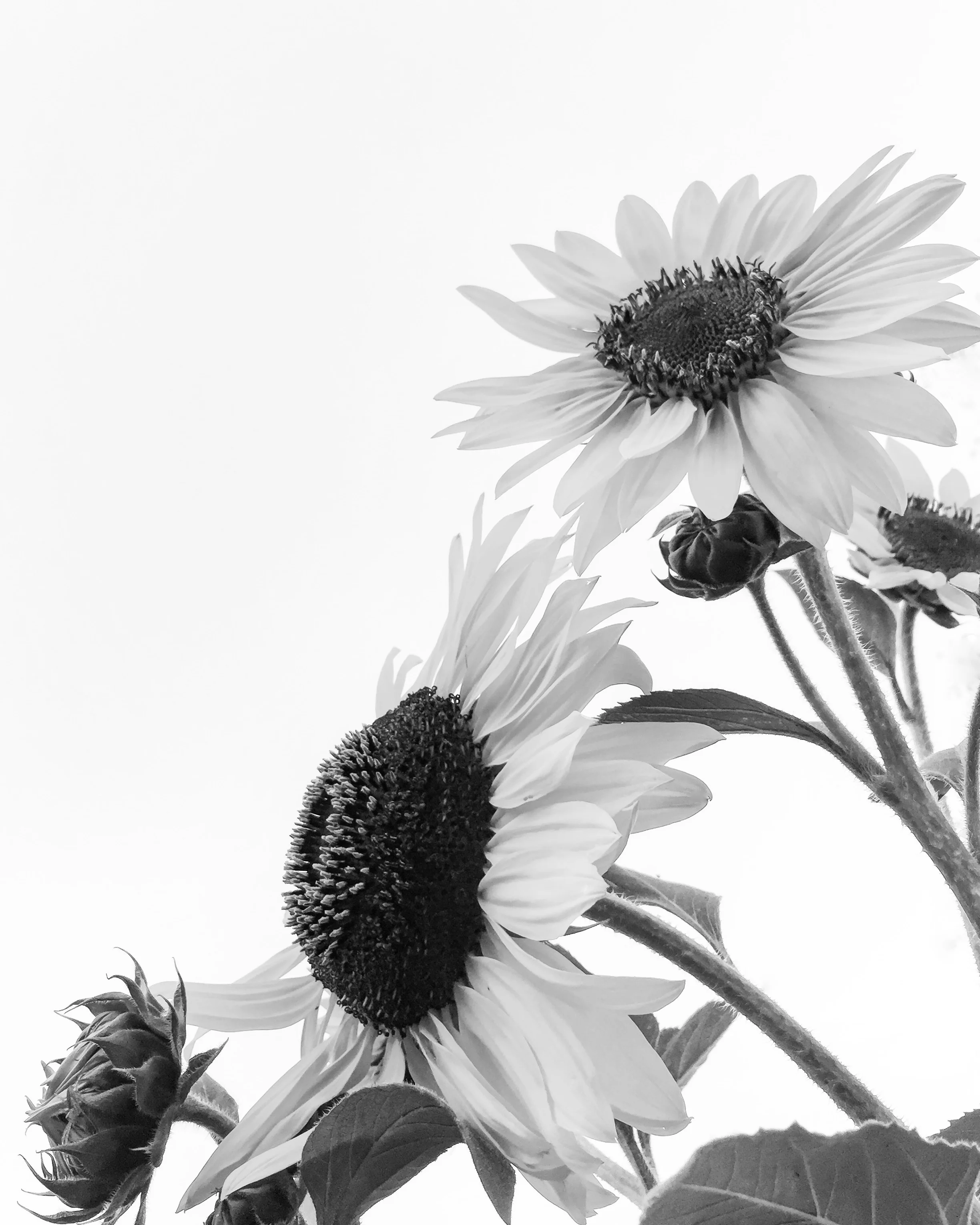 photography: outside