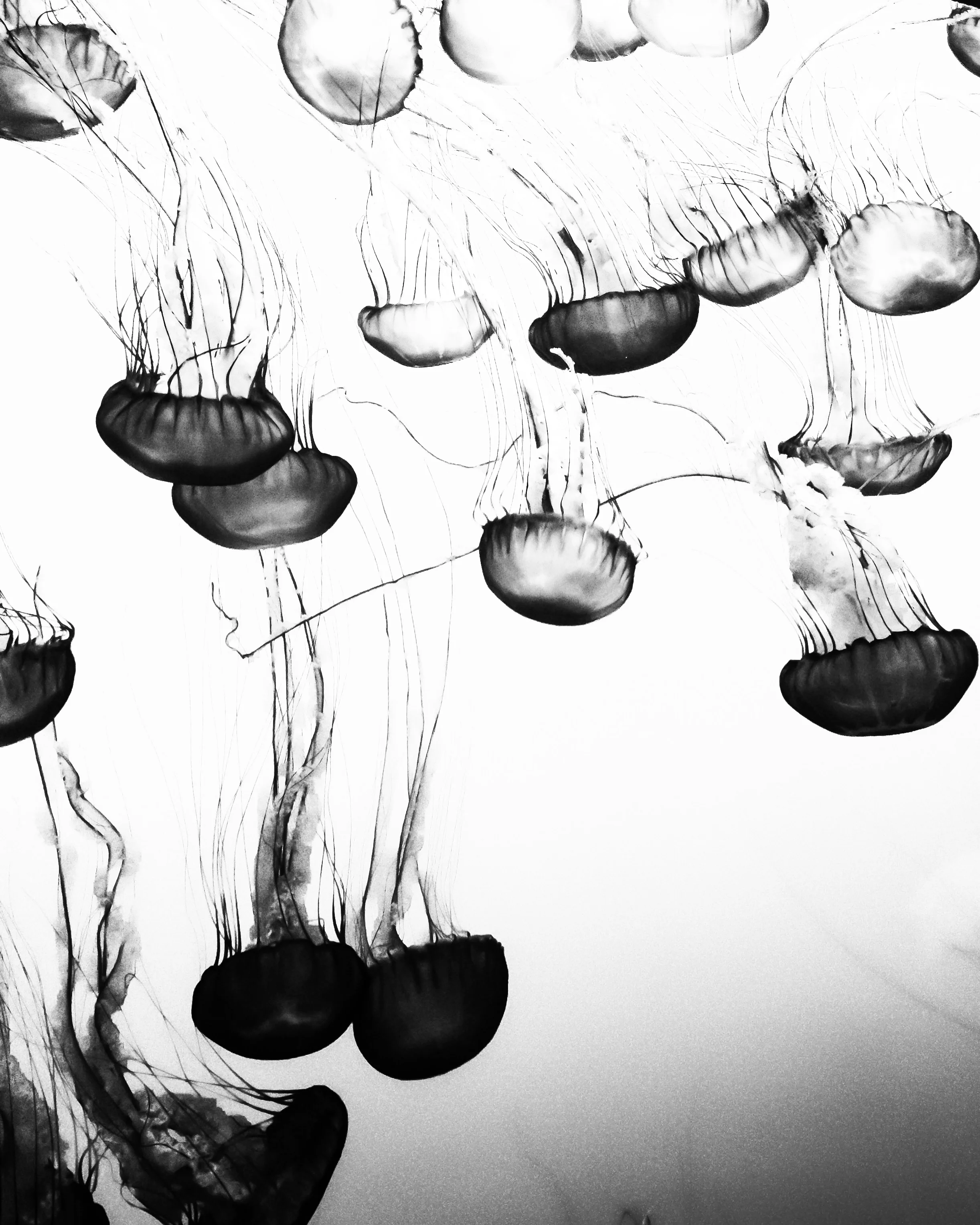 photography: outside