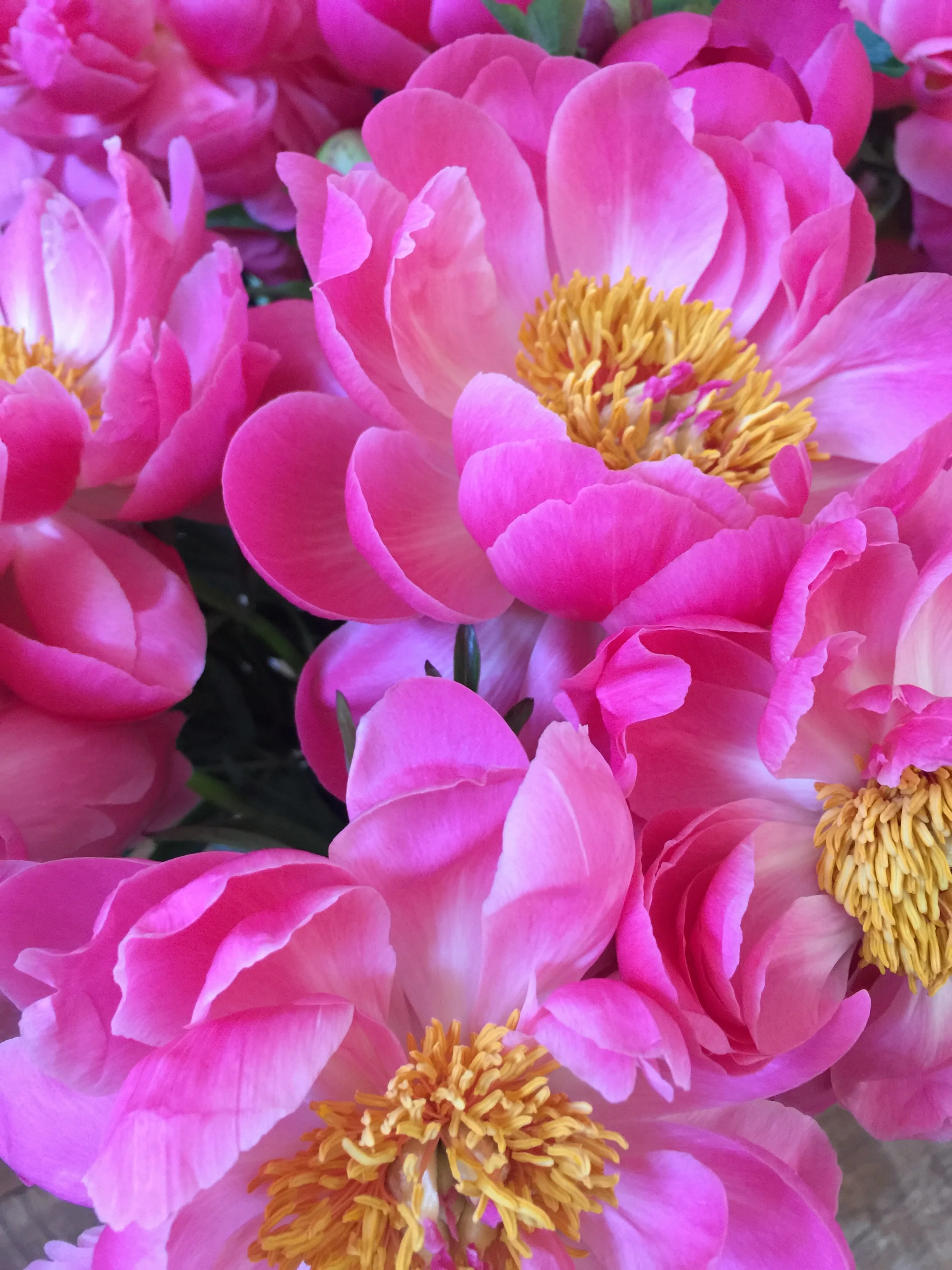 photography: outside