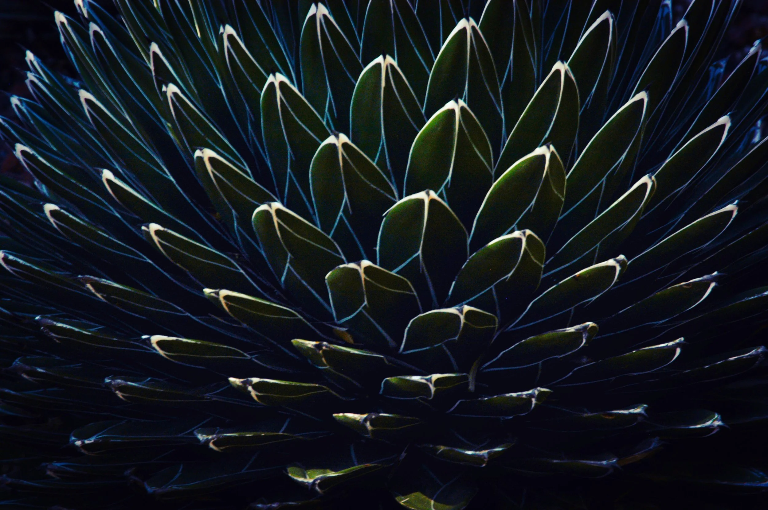 photography: outside