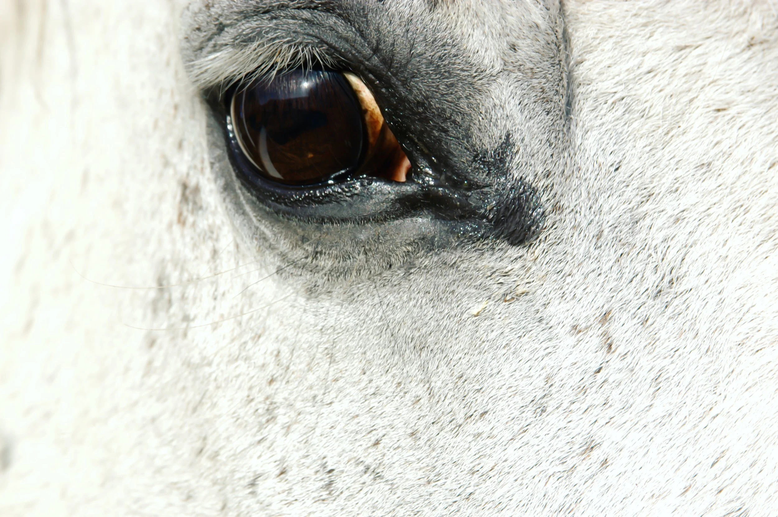 photography: outside