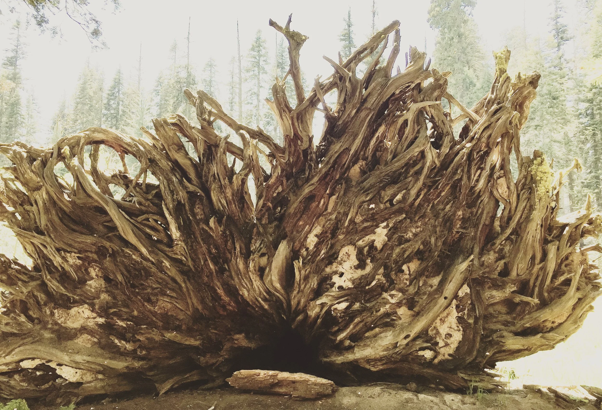 photography: outside