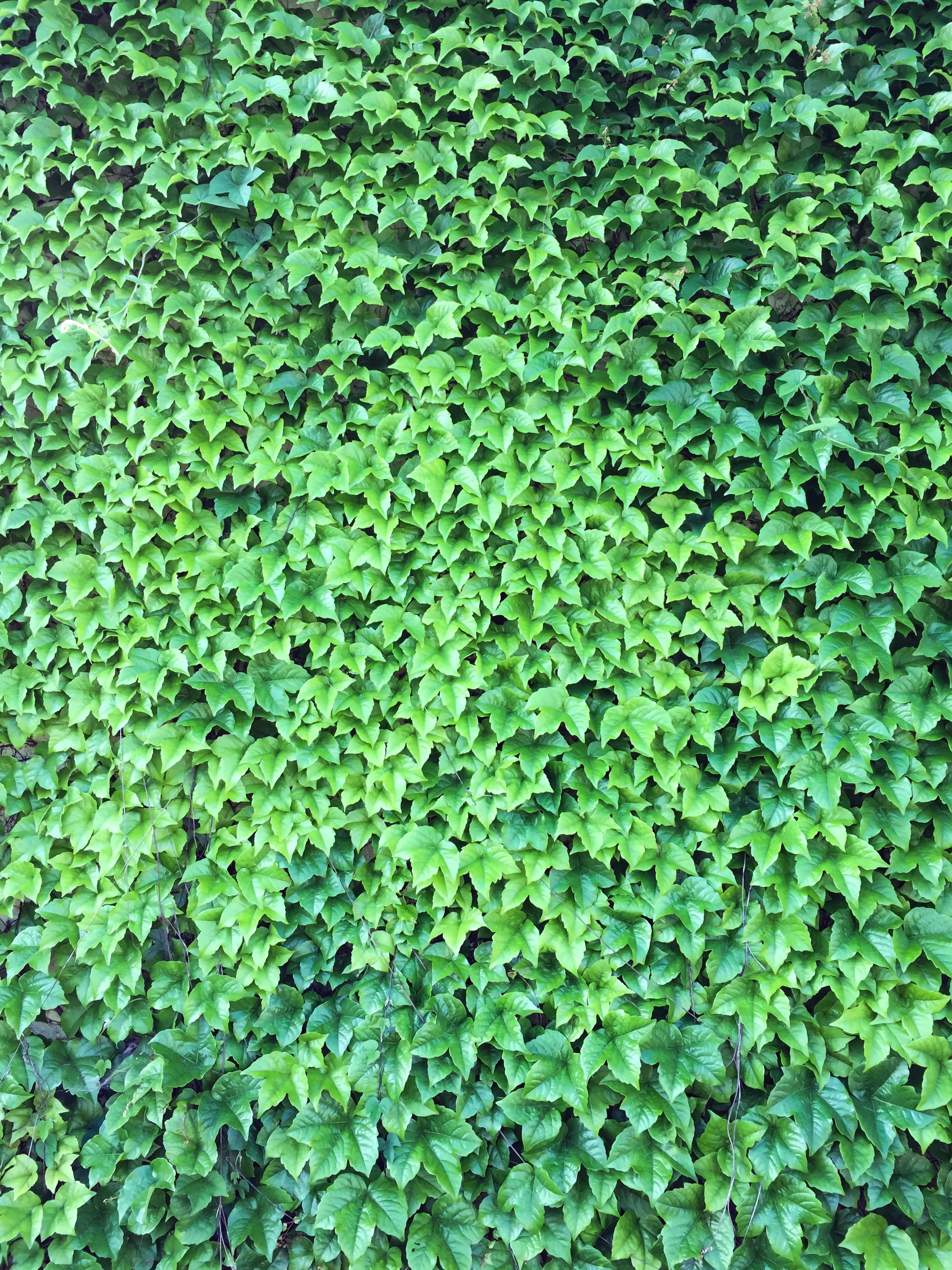 photography: outside