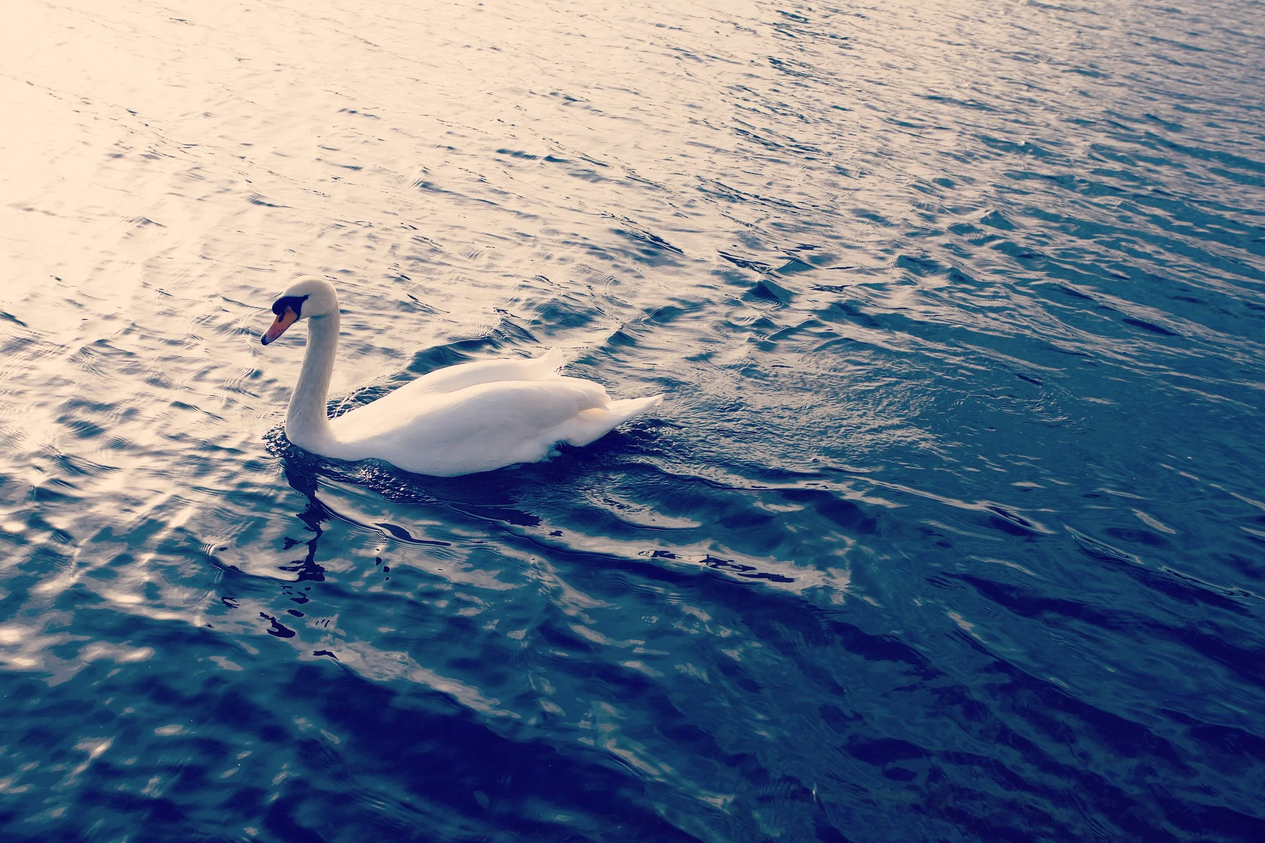 photography: outside