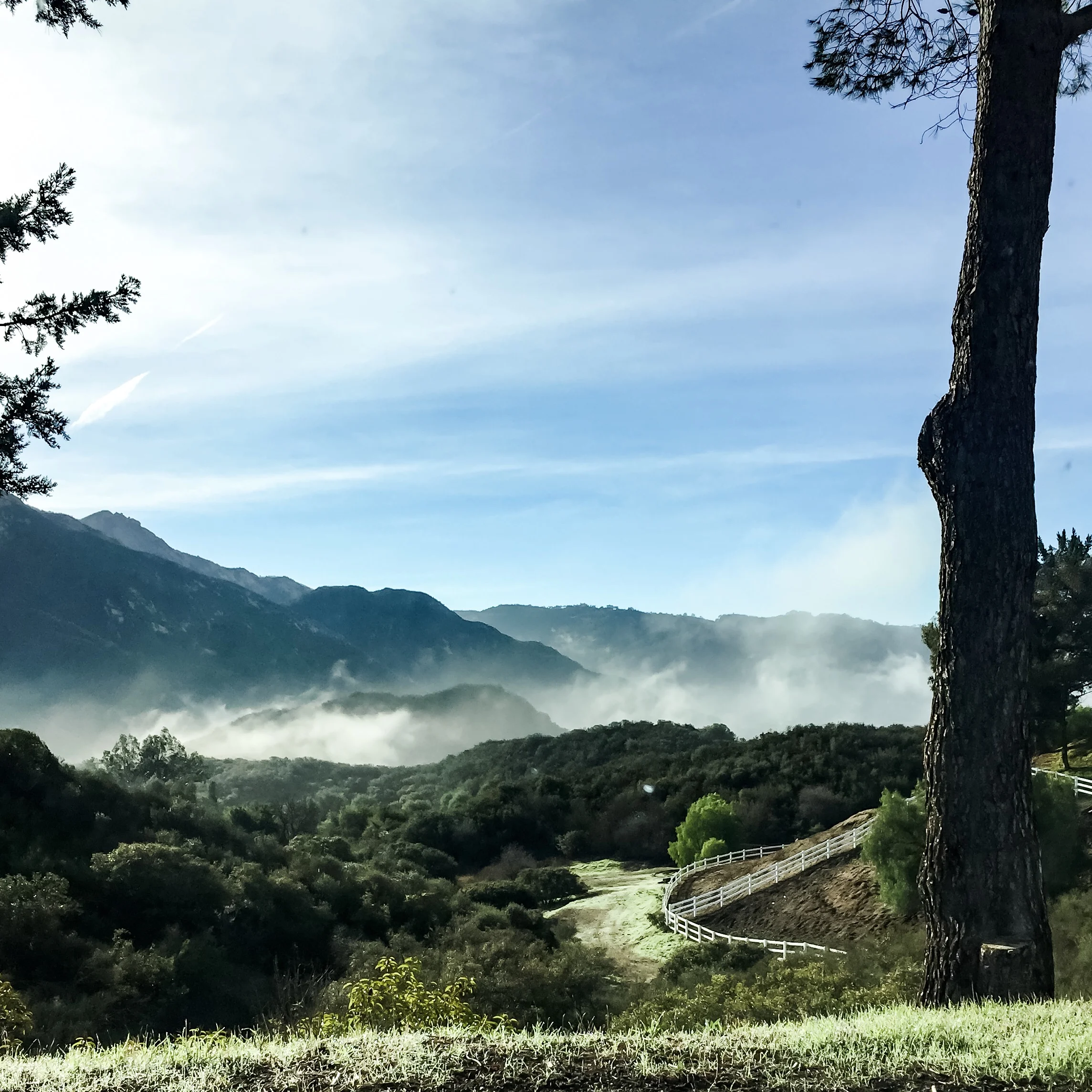 photography: outside