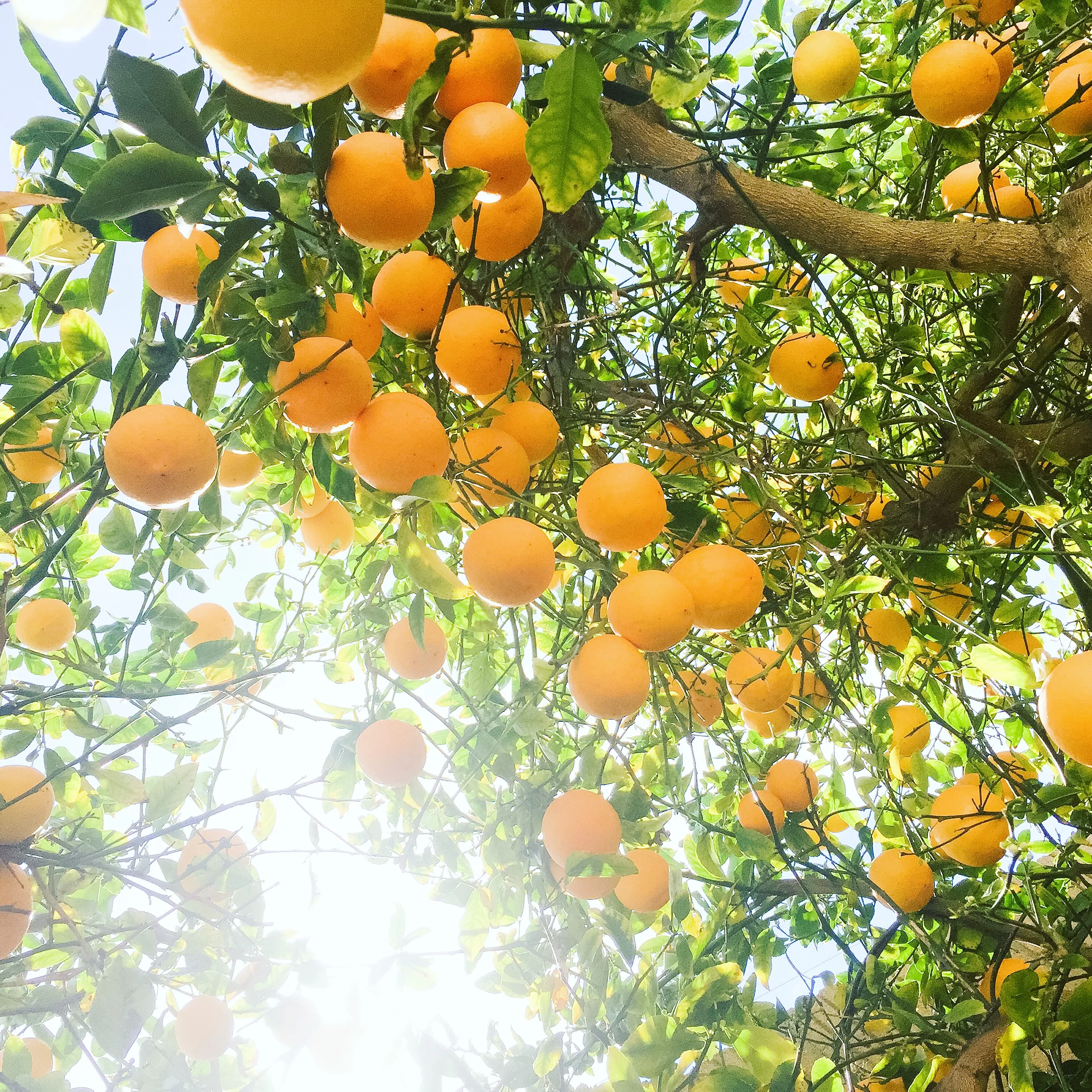 photography: outside