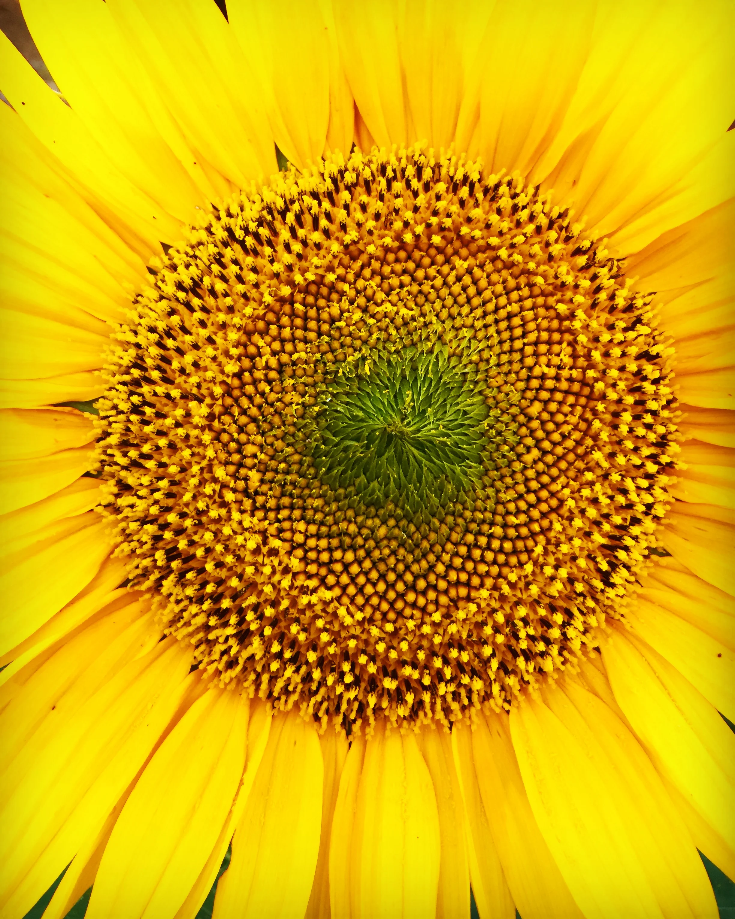 photography: outside