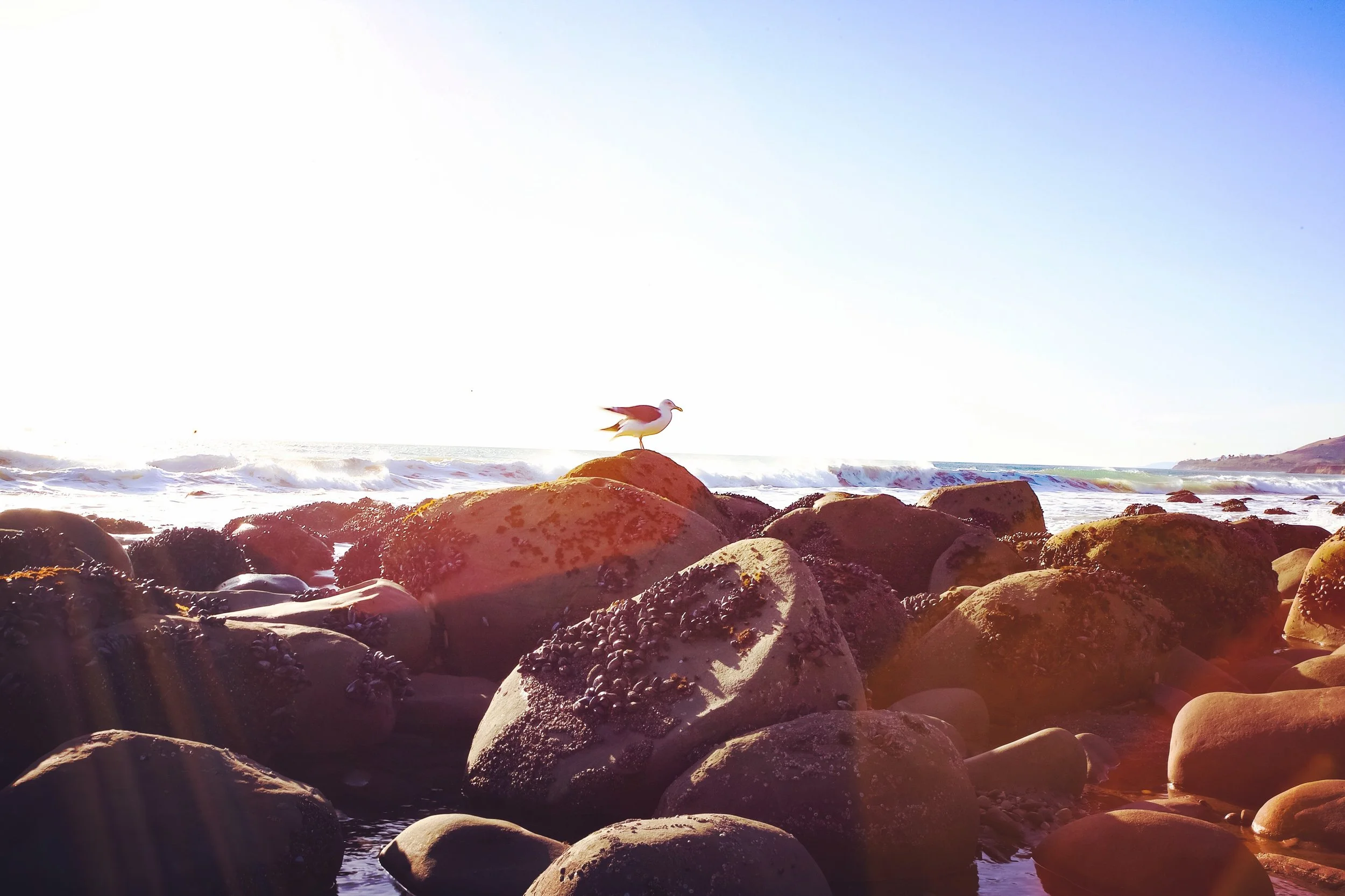 photography: outside