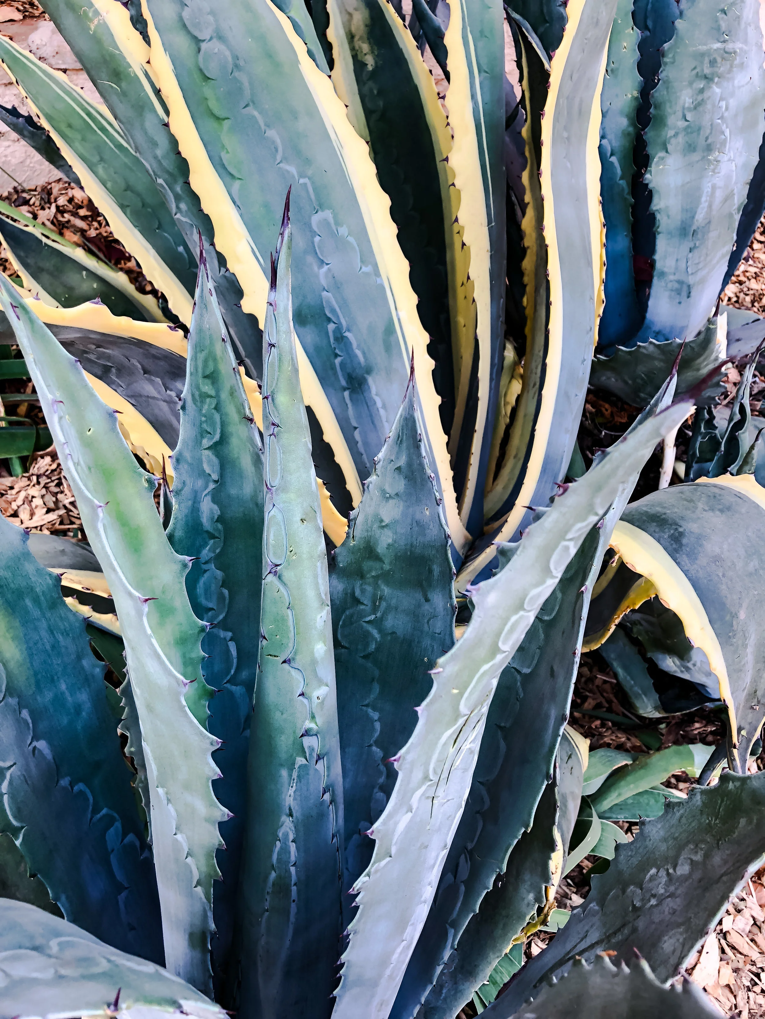 photography: outside